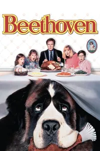 Afacan Köpek Beethoven izle